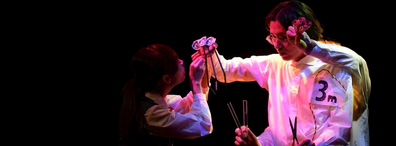 第九回公演
『私はイスを撫でたくない』